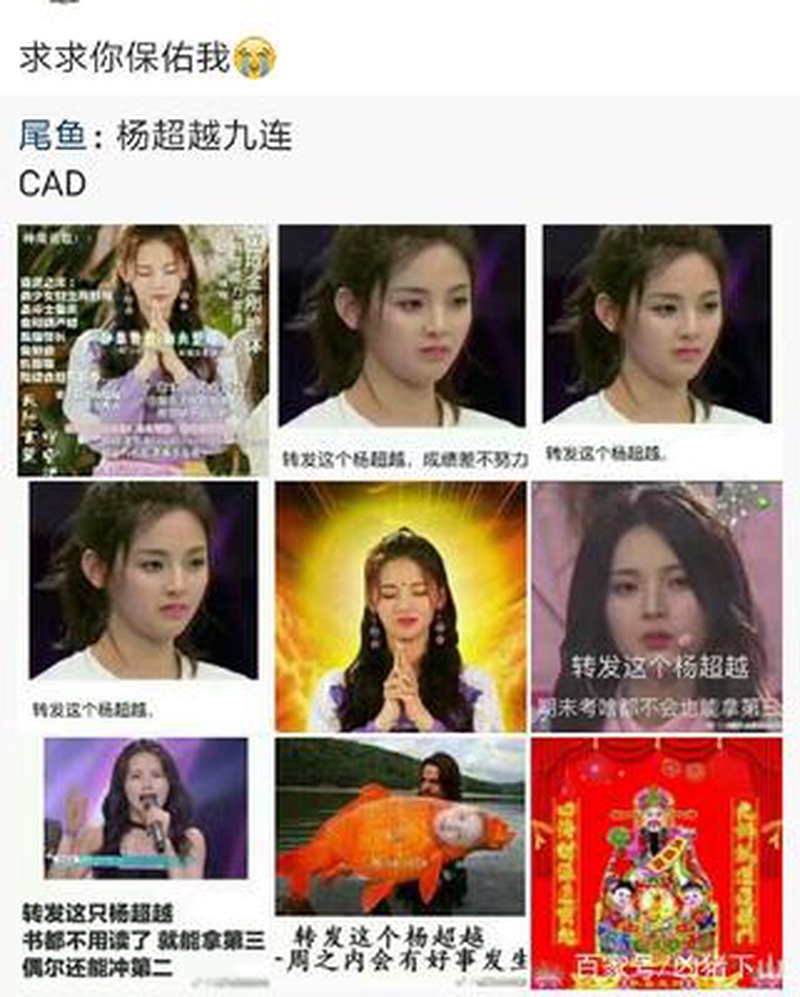 杨超越