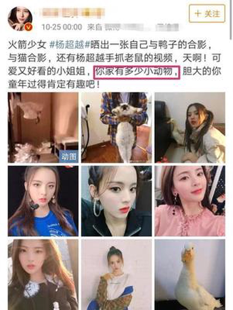 杨超越