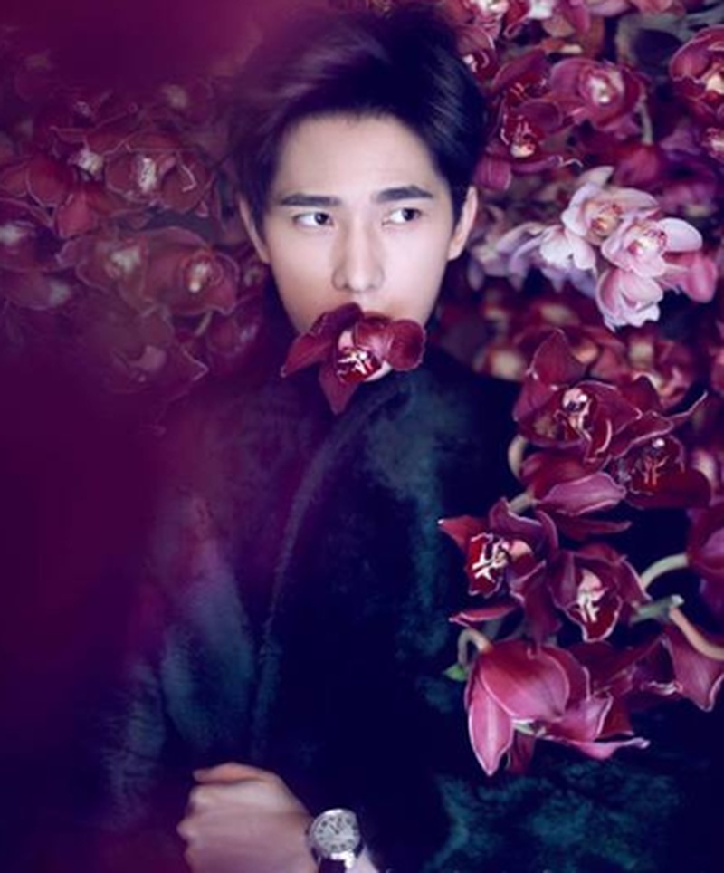 杨洋